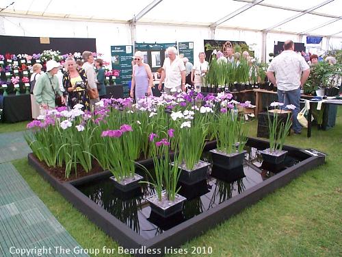 Kelways stand at Wisley Summer Show